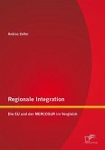 Regionale Integration: Die EU und der MERCOSUR im Vergleich (eBook, PDF)