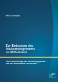 Zur Bedeutung des Risikomanagements im Mittelstand: Eine Untersuchung des Verbreitungsgrades und der verwendeten Instrumente (eBook, PDF)
