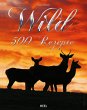 Wild (eBook, ePUB) - Bild 1
