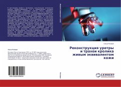 Rekonstrukciq uretry i trahei krolika zhiwym äkwiwalentom kozhi