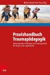 Praxishandbuch Traumapädagogik - Bild 1