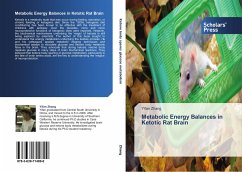 Metabolic Energy Balances in Ketotic Rat Brain - Zhang, Yifan