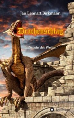 Cover Drachenschlag