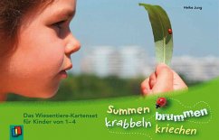 Summen, brummen, krabbeln, kriechen, 20 Fotokarten - Jung, Heike