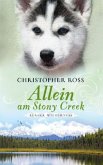 Allein am Stony Creek / Alaska Wilderness Bd.3