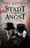Stadt in Angst / Finley Jameson Bd.1 (eBook, ePUB)