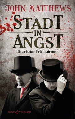 Stadt in Angst / Finley Jameson Bd.1 (eBook, ePUB) - Matthews, John
