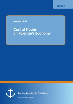 Cost of Floods on Pakistan's Economy (eBook, PDF) - Niazi, Javeria