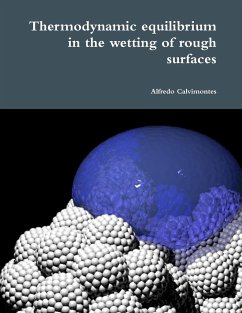 Thermodynamic Equilibrium in the Wetting of Rough Surfaces - Calvimontes, Alfredo