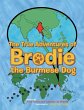 The True Adventures of Brodie the... - Bild 1