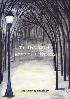 In the light,beautiful things - Brackley, Matthew R