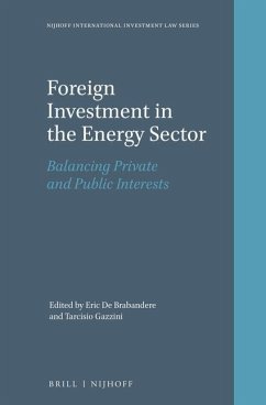 Foreign Investment in the Energy Sector: Balancing Private and Public Interests