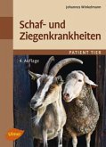 Schaf- und Ziegenkrankheiten