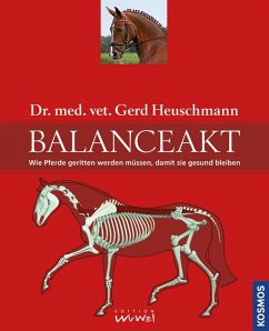 Balanceakt - Heuschmann, Gerd