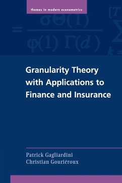 Granularity Theory with Applications to Finance and Insurance - Gagliardini, Patrick; Gouriéroux, Christian