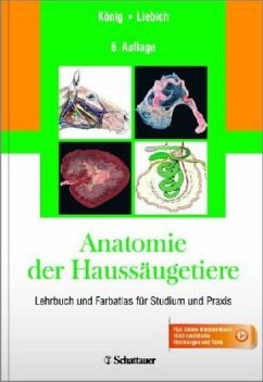 Anatomie der Haussäugetiere - König, Horst E.; Liebich, Hans-Georg