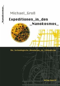 Expeditionen in den Nanokosmos - Groß, Michael