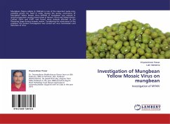 Investigation of Mungbean Yellow Mosaic Virus on mungbean