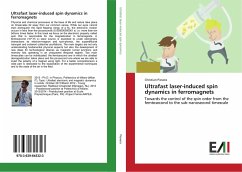 Ultrafast laser-induced spin dynamics in ferromagnets - Piovera, Christian