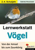 Lernwerkstatt Vögel (GS) (eBook, PDF)
