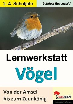 Lernwerkstatt Vögel (GS) (eBook, PDF) - Rosenwald, Gabriela