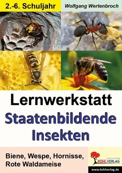 Lernwerkstatt Staatenbildende Insekten (eBook, PDF) - Wertenbroch, Wolfgang