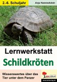 Lernwerkstatt Schildkröten (eBook, PDF)