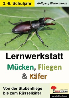 Lernwerkstatt Mücken, Fliegen und Käfer (eBook, PDF) - Wertenbroch, Wolfgang