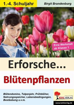 Erforsche... Blütenpflanzen (eBook, PDF) - Brandenburg, Birgit