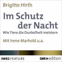 Im Schutz der Nacht (MP3-Download) - Hirth, Brigitte
