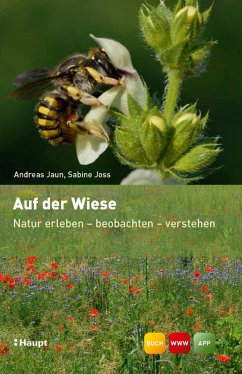 Cover Auf der Wiese (eBook, ePUB)