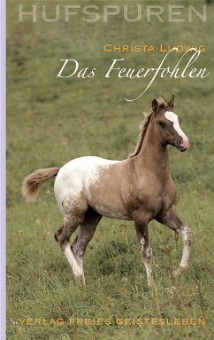 Hufspuren: Das Feuerfohlen (eBook, ePUB) - Ludwig, Christa