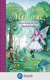 Geschichten aus dem Zauberwald / Maluna Mondschein Bd.2 (eBook, ePUB)