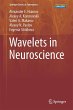 Wavelets in Neuroscience - Bild 1
