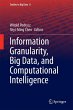 Information Granularity, Big Data, and... - Bild 1