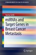 miRNAs and Target Genes in Breast... - Bild 1