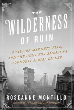 The Wilderness of Ruin - Montillo, Roseanne