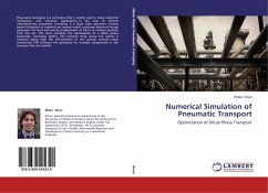 Numerical Simulation of Pneumatic Transport