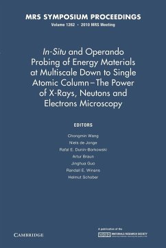 In-Situ and Operando Probing of Energy Materials at Multiscale Down to Single Atomic Column - The Power of X-Rays, Neutrons and Electron Microscopy