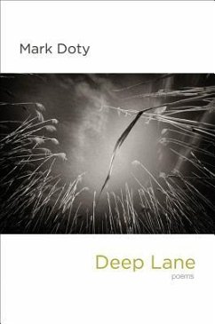 Deep Lane - Doty, Mark