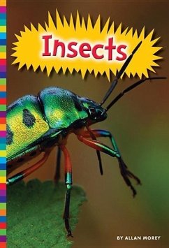 Insects - Morey, Allan