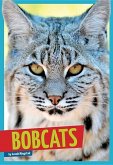 Bobcats