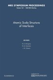 Atomic Scale Structure of Interfaces