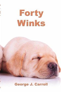 Cover Forty Winks