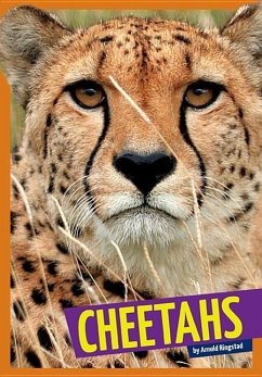 Cheetahs - Ringstad, Arnold