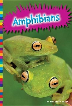 Amphibians - Levine, Michelle