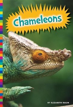 Chameleons - Raum, Elizabeth