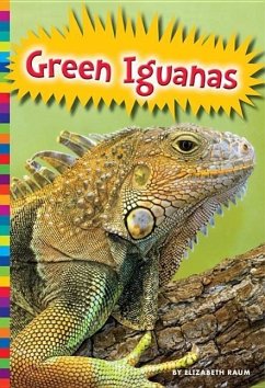 Green Iguanas - Raum, Elizabeth