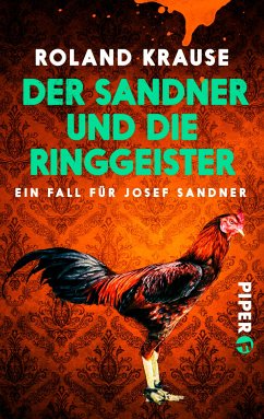 Der Sandner und die Ringgeister (eBook, ePUB) - Krause, Roland