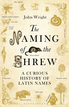The Naming of the Shrew - Wright, John